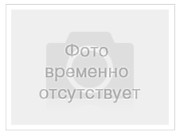 2019г.